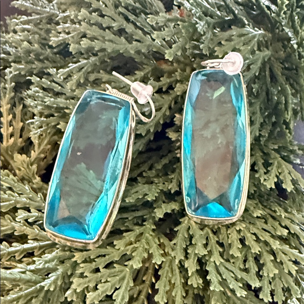 Elegant Blue Silver Earrings